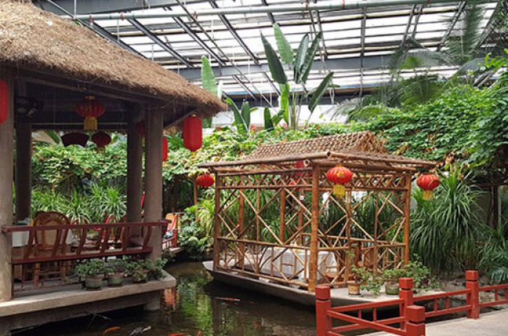 Ecological restaurant